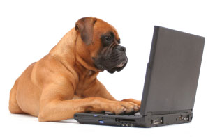 Insurance Blogging